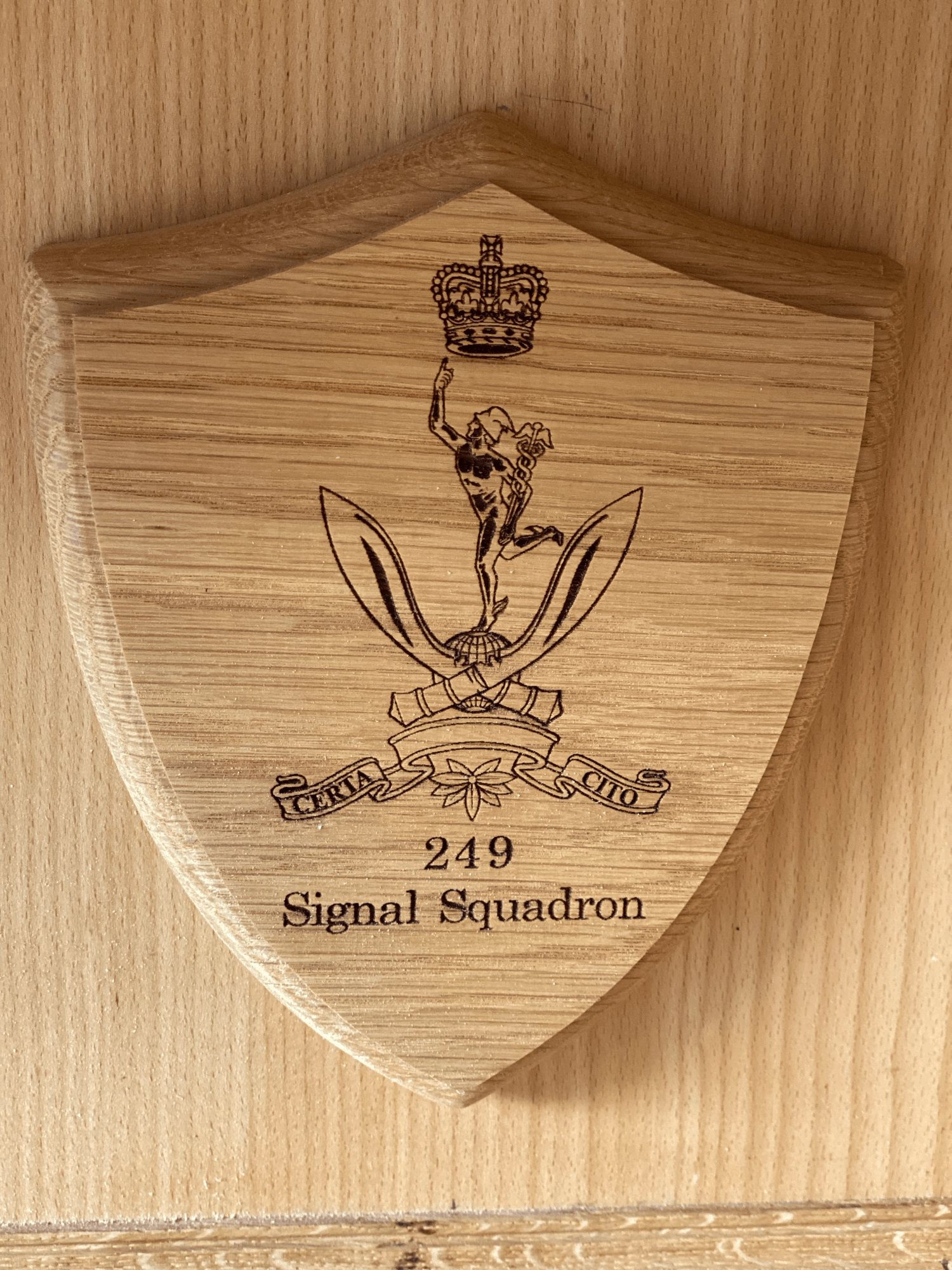 Regimental Wooden Shield